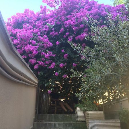 B&B La Bougainvillea Andria Kültér fotó